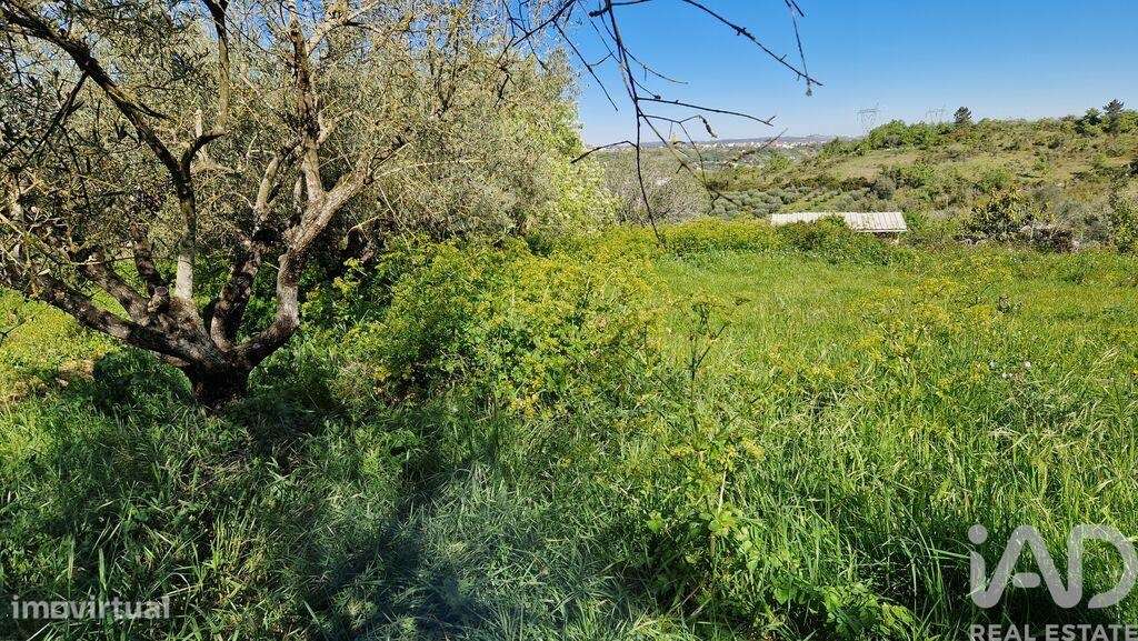 Terreno em Porto de Mós - São João Baptista e São Pedro