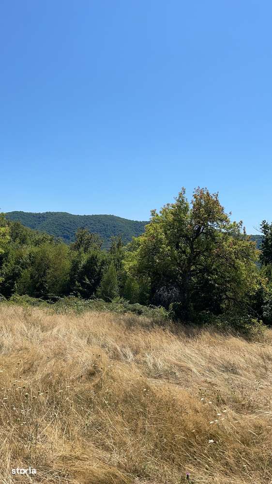 Teren Extravilan în mijlocul naturii. - Imagine principală: 5/20