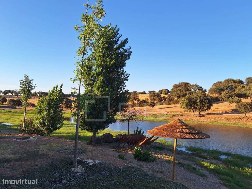 Casa tradicional Alentejana T2 recuperada - Grande imagem: 5/32