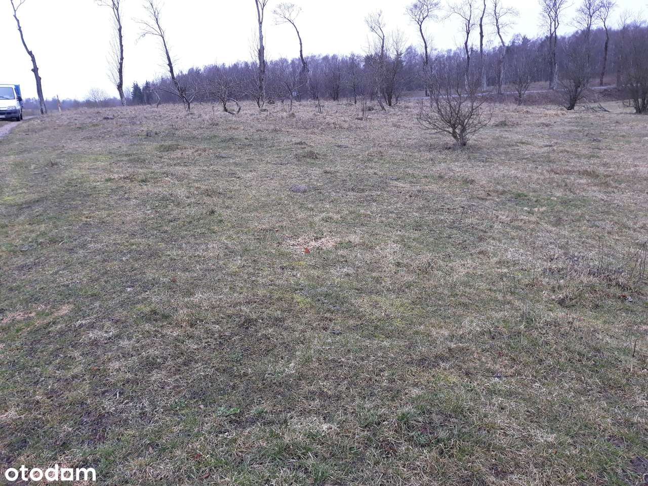 DOM gospodarstwo do wynajęcia 9000 m działka - Pełny obrazek: 3/9