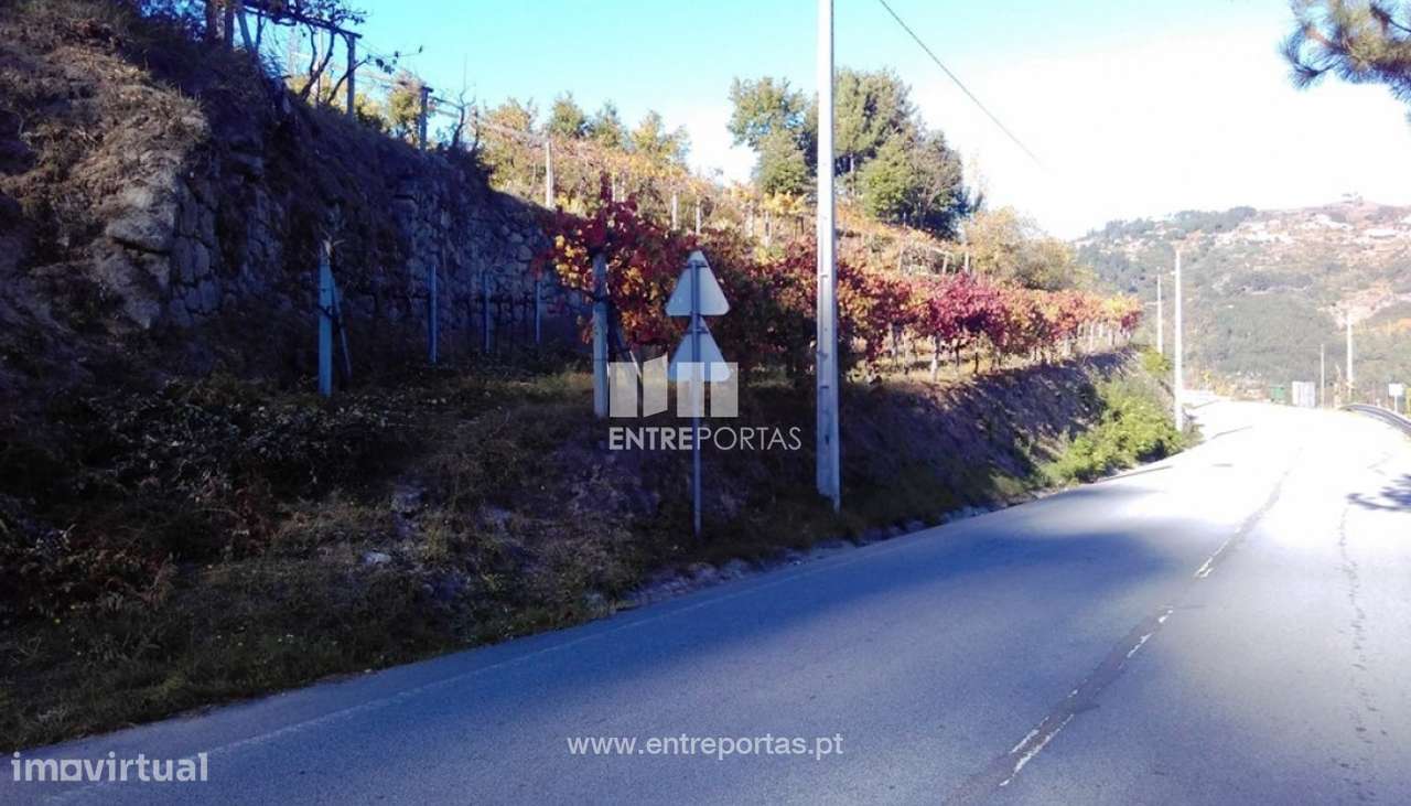 Venda Terreno, Paredes  de Viadores, Marco de Canaveses - Grande imagem: 4/12