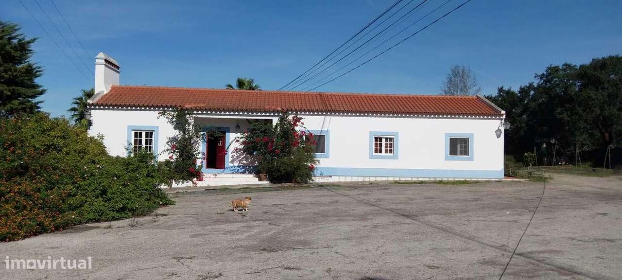 Moradia Isolada T4 com estacionamento, Álcacer do Sal, Alcacer do Sal - Grande imagem: 3/26