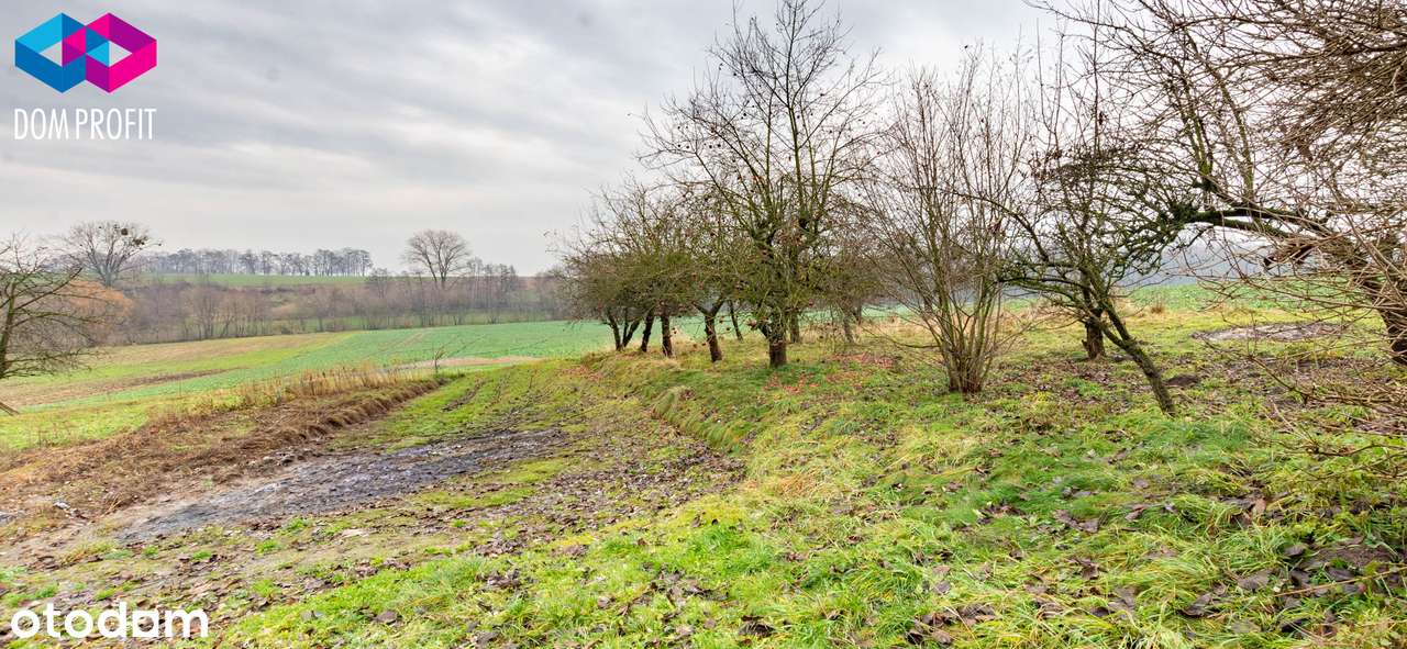 *** 4 minuty od Głubczyc *** - Pełny obrazek: 4/20
