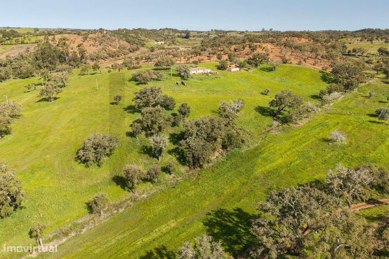 MONTE FERRENHO | PIP INFORMADO | Cercal do Alentejo | Santiago do Cacé - Grande imagem: 5/50