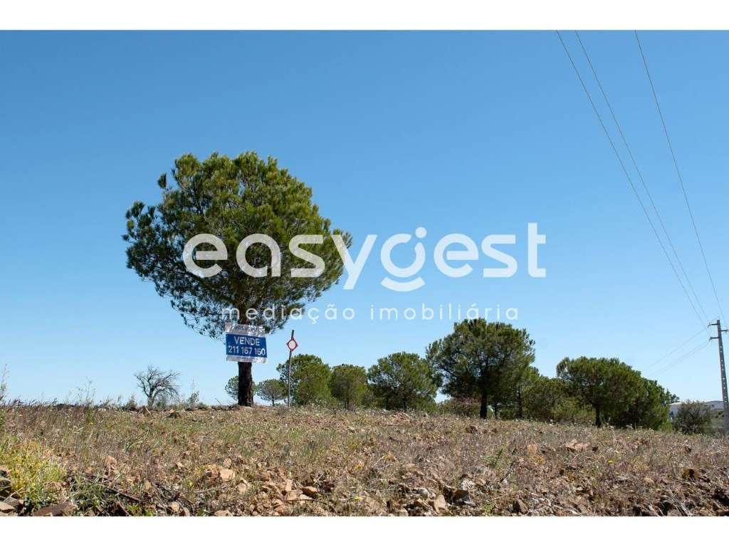 Terreno Rústico Pego do Junqueiro, Azinhal Concelho Castro Marim - Grande imagem: 2/13