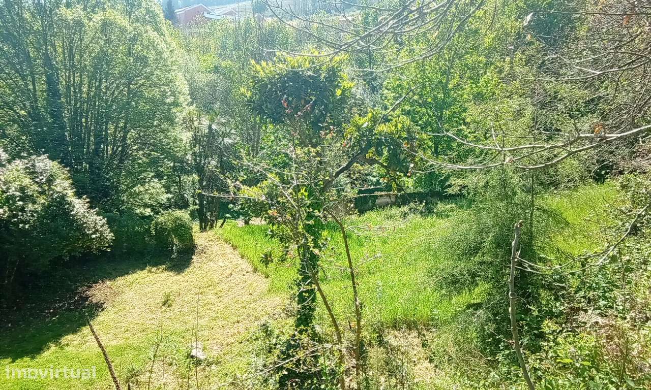 Terreno para Venda em Lamego: Grande Oportunidade de Investimento-21