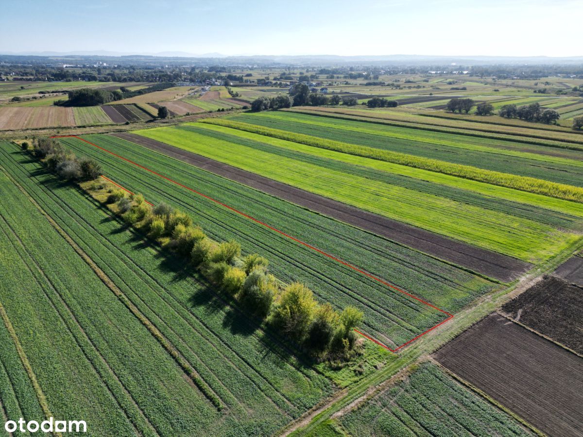 Działka rolna 80 ar, Wyciąże