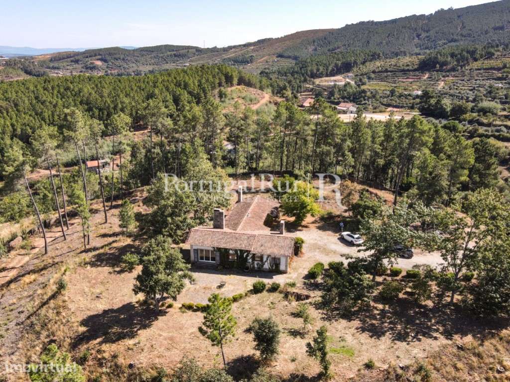 Quinta de 4 ha com 3 casas e cerejeiras no Fundão, ideal para turismo-44