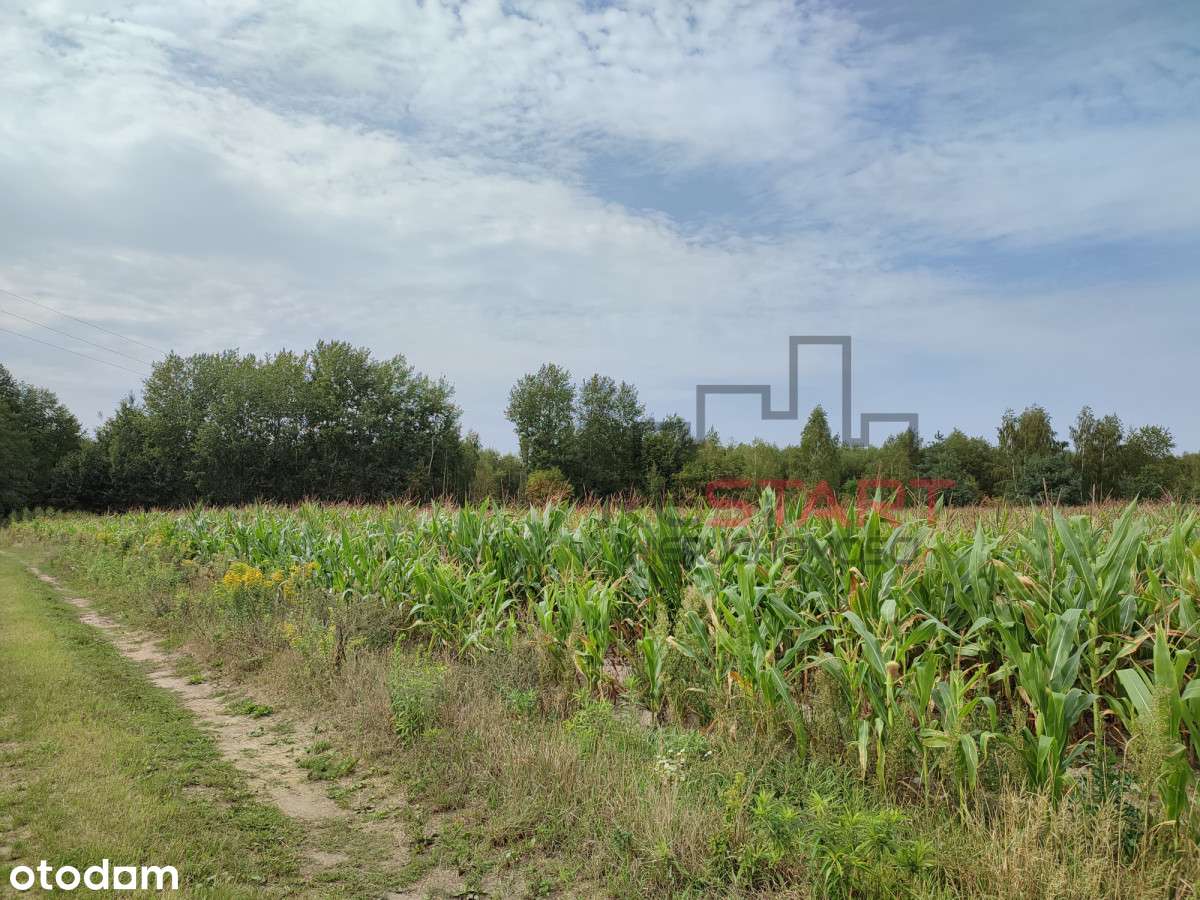 Na sprzedaż – działka siedliskowa 6,73 ha - Pełny obrazek: 5/9