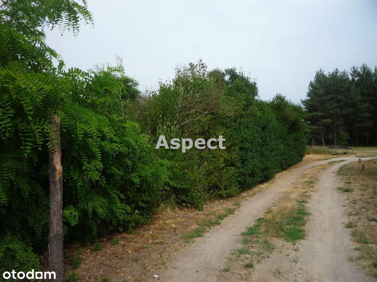 Działka rekreacyjna. - Pełny obrazek: 4/7