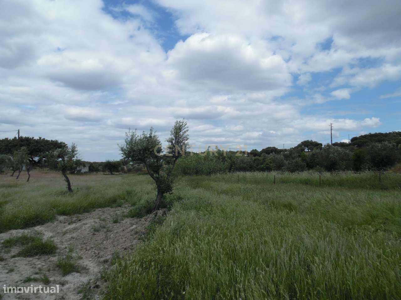 Quinta em Capelins,  Alandroal - Évora,  Oportunidade Única-47