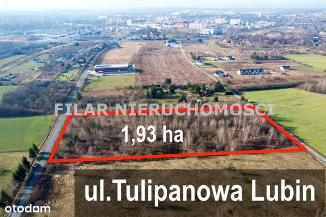 Działka Lubin