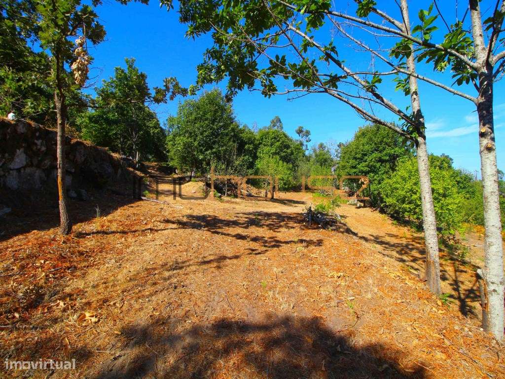 Quinta de 2ha com vista panorâmica - Freigil-16