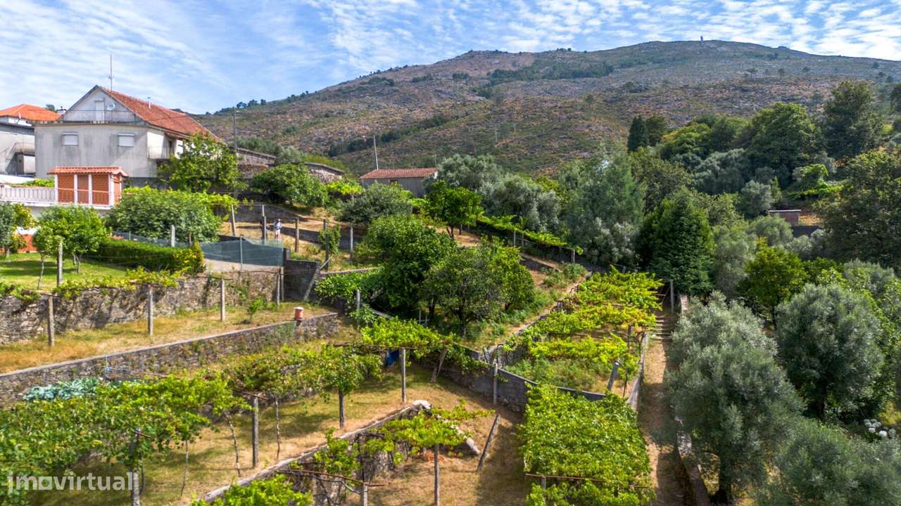 Terreno com Potencial de Construção em Montaria – Serra d’Arga - Grande imagem: 2/27
