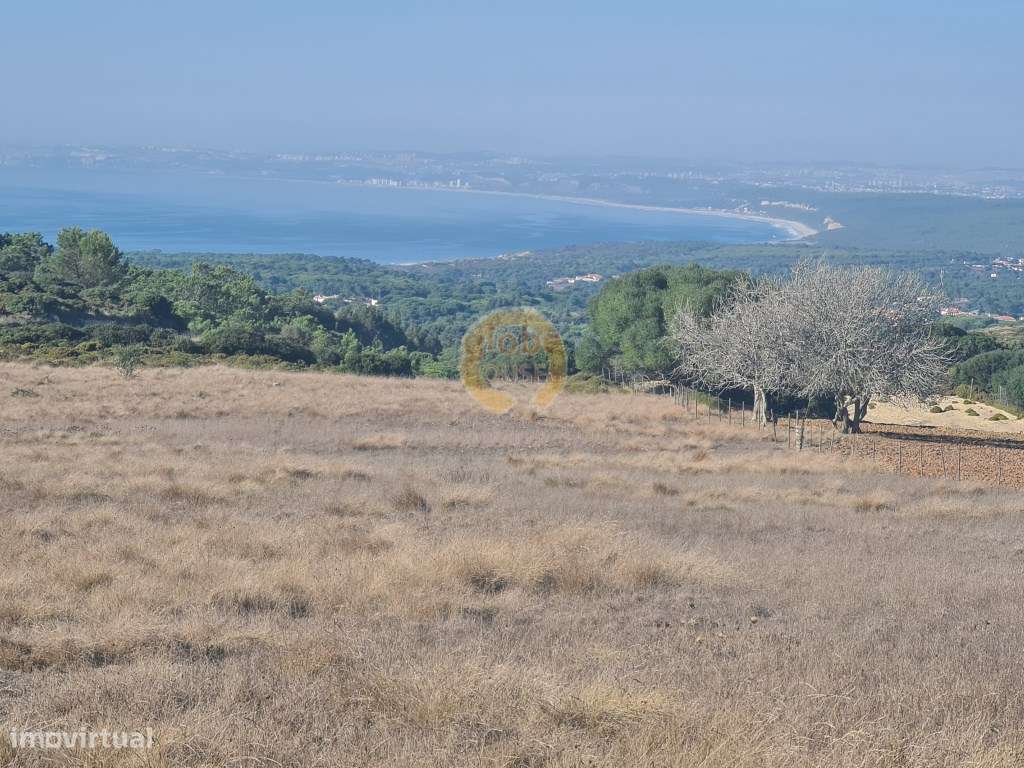 Terreno com 14000 m2 com vista espetacular para o Mar. - Grande imagem: 2/6
