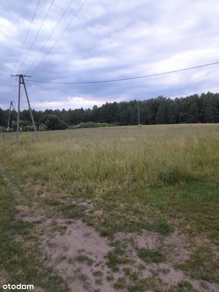 Działki w Chroślu. - Pełny obrazek: 5/5