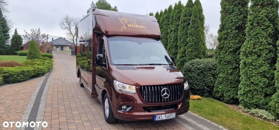 Mercedes-Benz SPRINTER 319 KONIOWOZ 3,0 V6 - 3