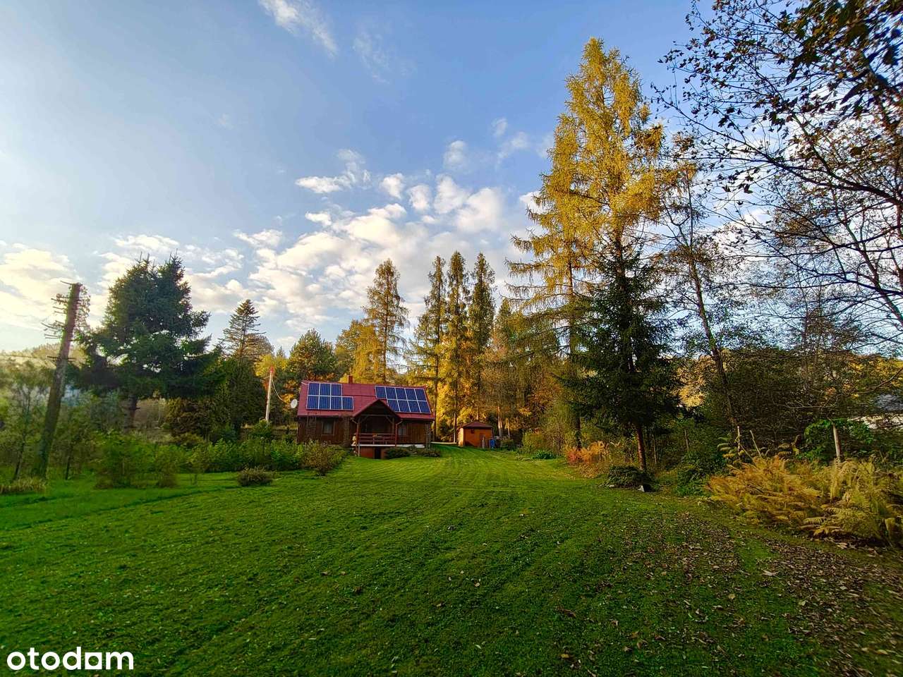 Dom do zamieszkania pod lasem, z dostępem do potoku!-1