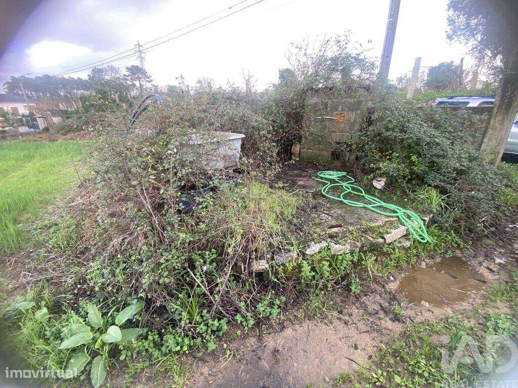 Terreno em Monção e Troviscoso-5