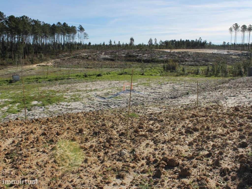 Terreno - Zona Marinha Grande. - Grande imagem: 2/7