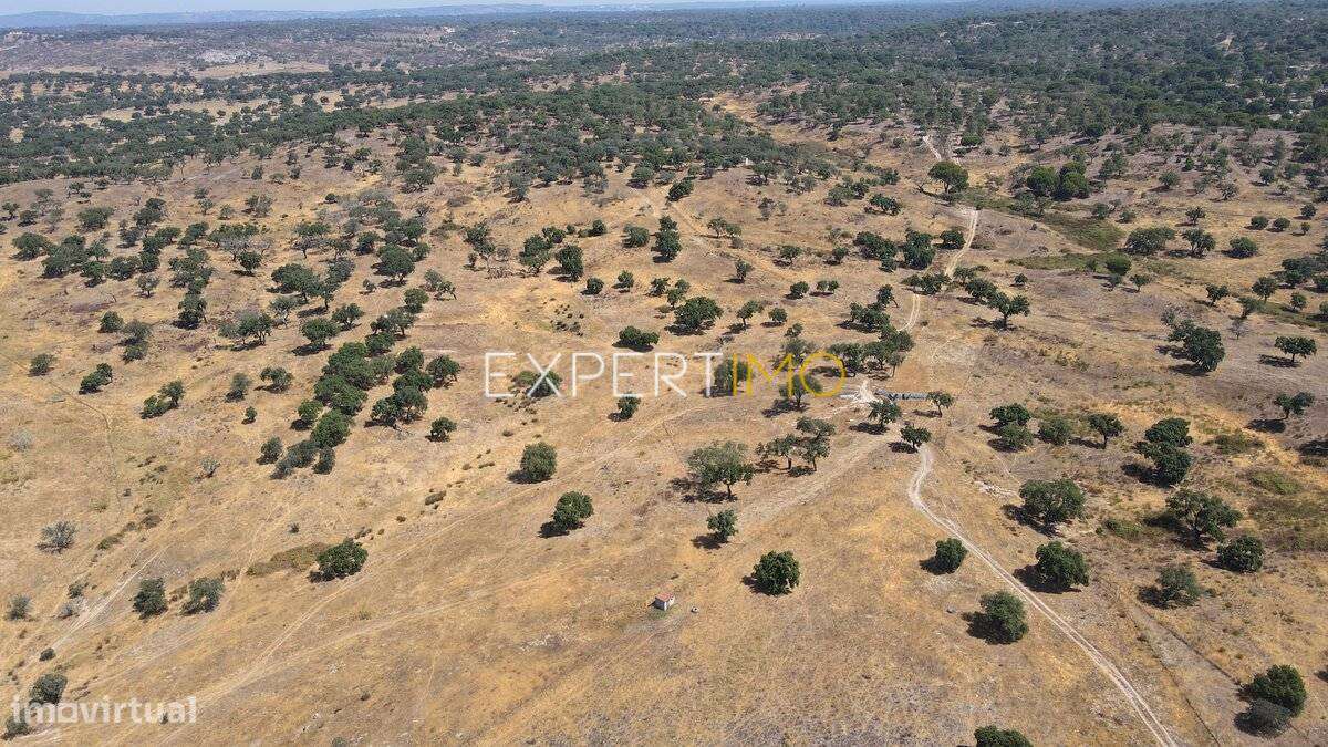 Herdade com 81,79 ha - Mora-7