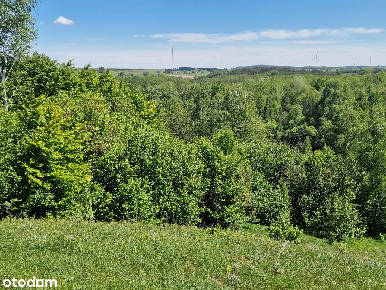 Piękna duża działka. Inwestycja w ziemię. Blisko lasu i wody. - Pełny obrazek: 5/19