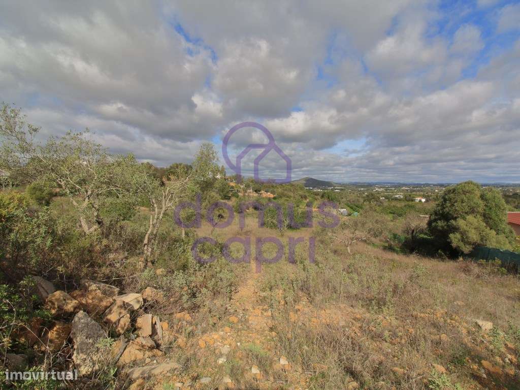 Terreno Rustico em Laranjeiro - Moncarapacho - Olhão - Grande imagem: 4/9