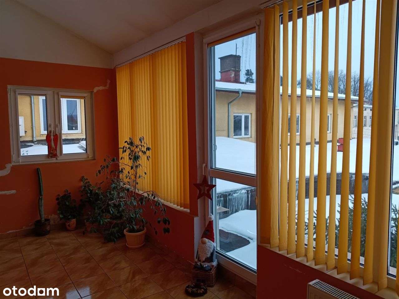 Lokal użytkowy, 2 500 m², Brodnica-9