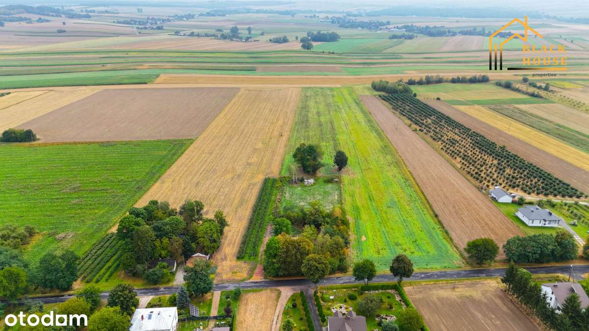 Działka budowlana z potencjałem- Kolonia Wola Duża - Pełny obrazek: 3/9