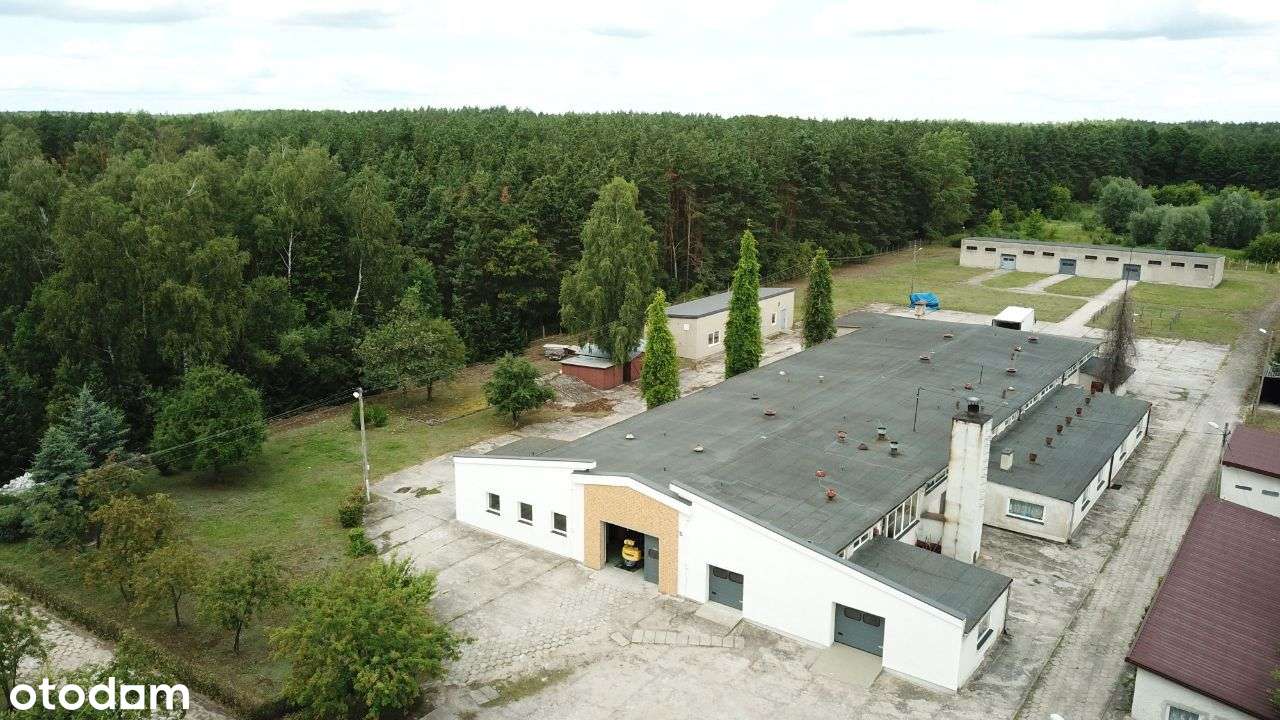 Nieruchomość z halą produkcyjno-magazynową - Pełny obrazek: 2/10