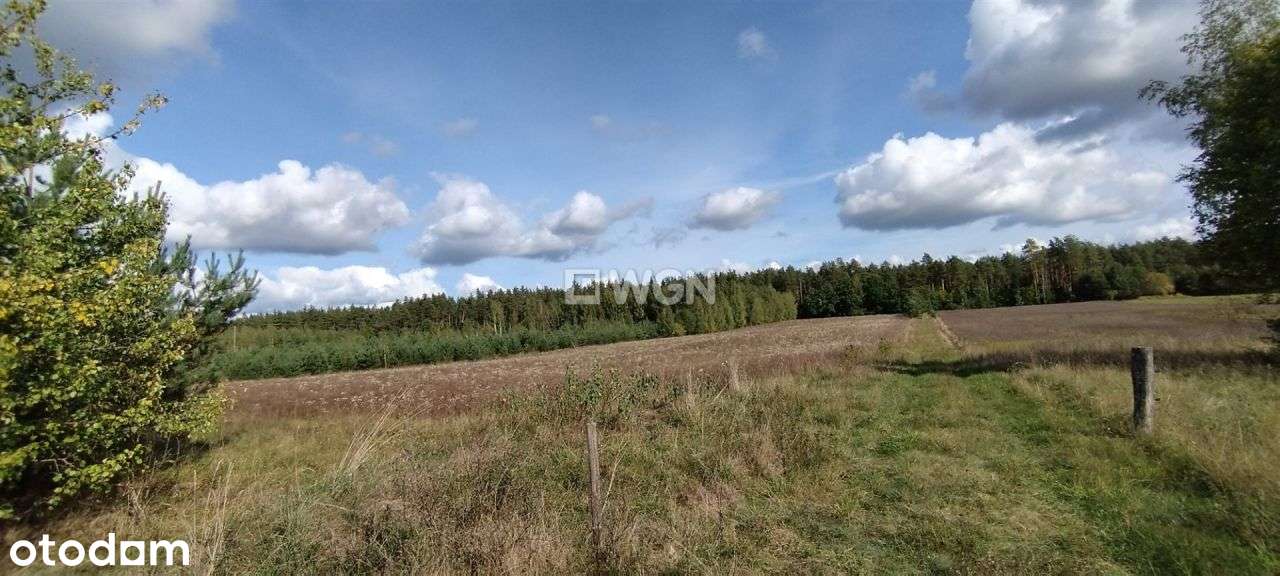 Atrakcyjna Działka blisko plaży gminnej - Pełny obrazek: 4/7