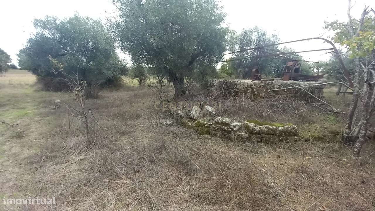 Terreno Rustico Lardosa - Grande imagem: 1/15