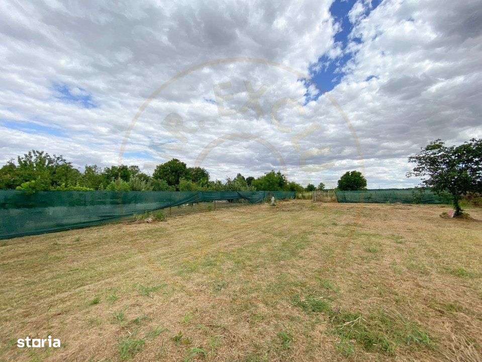 Teren intravilan 1412 mp, Ciofliceni – Ilfov - Imagine principală: 2/8