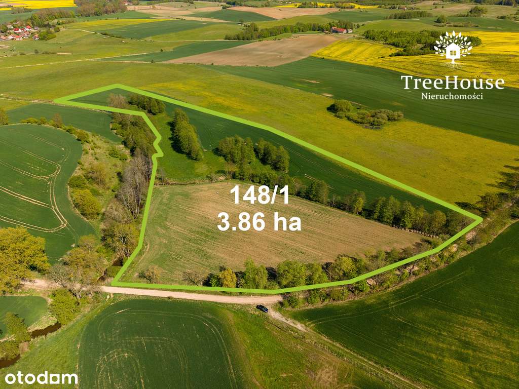 Działka rolna w Kabinach - Pełny obrazek: 2/14