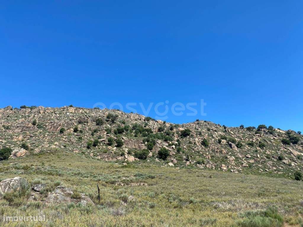 Quinta do Peso, com vista para o rio Sabor - Grande imagem: 2/13