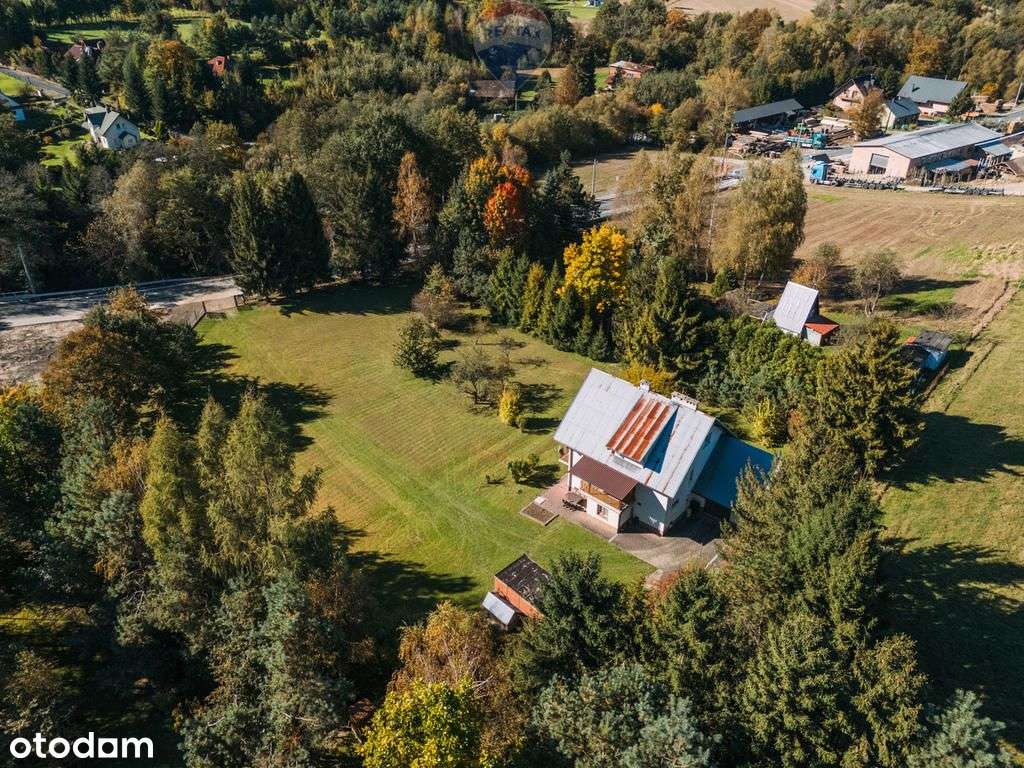 Działka budowlana 42 ar - Pełny obrazek: 5/10