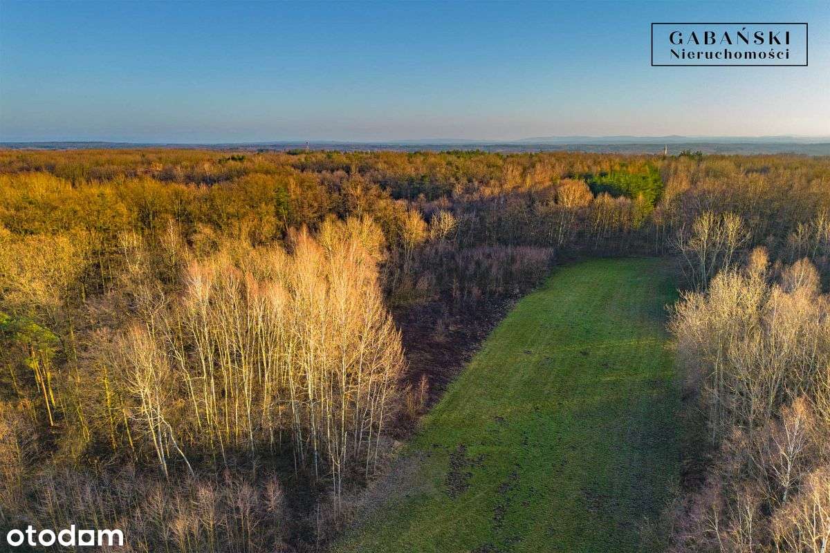 Działka budowlana na sprzedaż - Zaczarnie-8