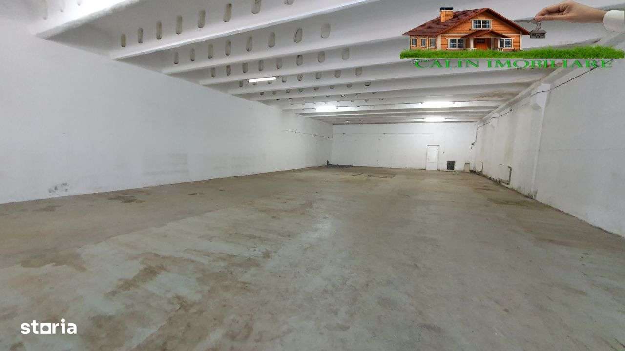 Hală Bucium 356mp Depozitare/Producție/Logistică 5 Euro/mp - Imagine principală: 3/7