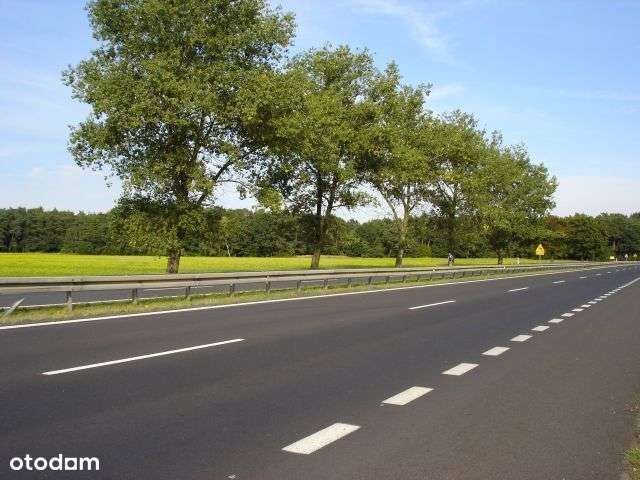 Duże możliwości, świetna cena-3