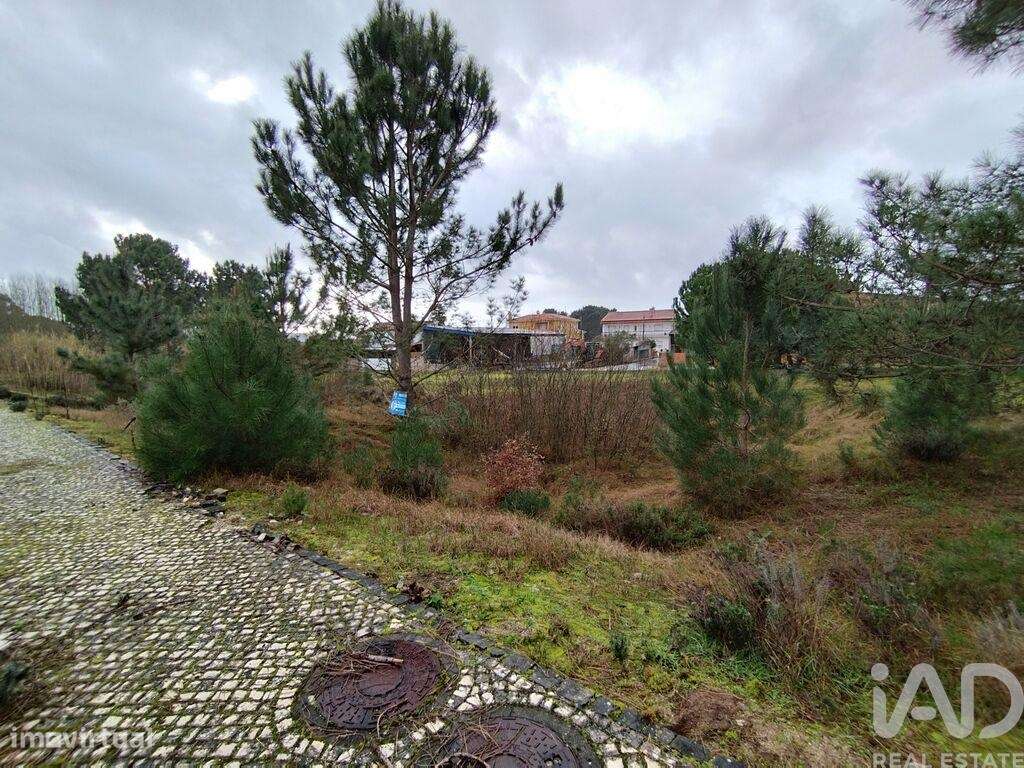 Terreno em Coz, Alpedriz e Montes de 560,00 m2 - Grande imagem: 3/14