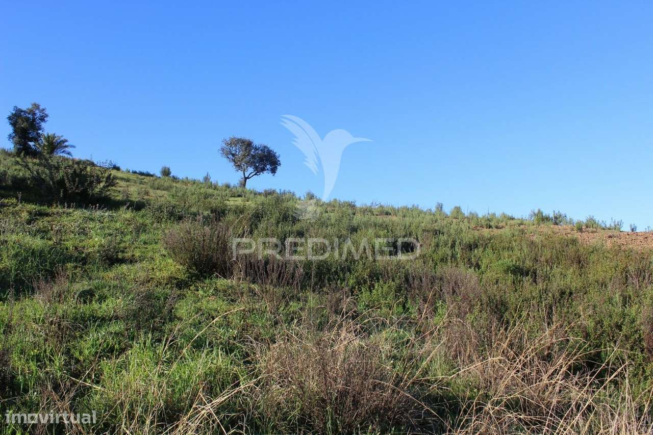 Vende-se Terreno Rústico em São Bartolomeu de Messines - Grande imagem: 2/6