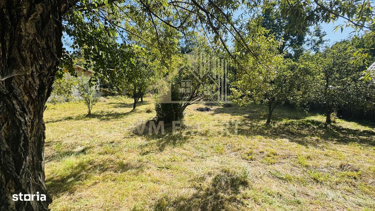 TEREN INTRAVILAN 3234 MP LEREȘTI VOINEȘTI ARGEȘ - Imagine principală: 5/20