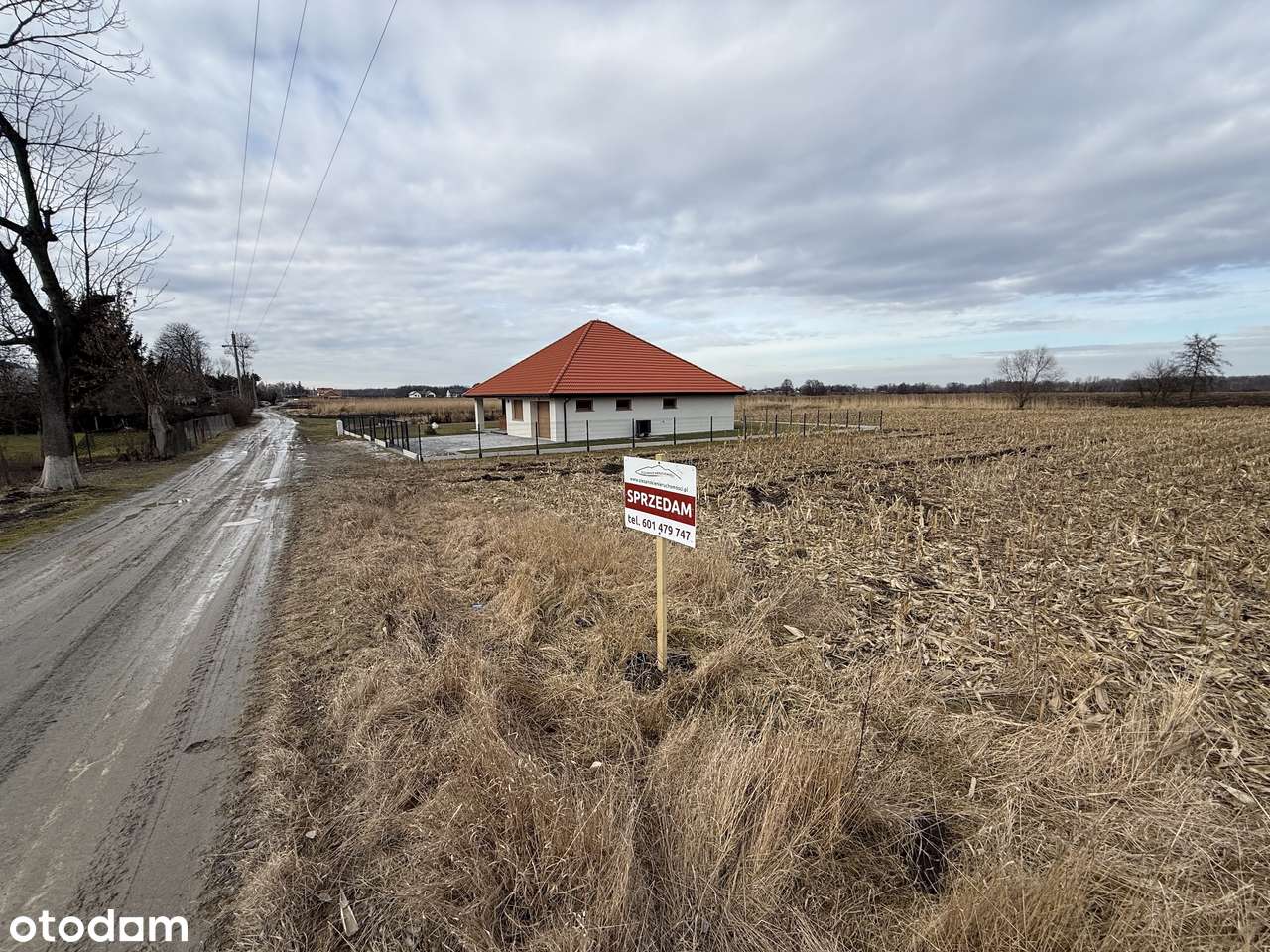 Na sprzedaż atrakcyjne działki budowlane – Nowa Wieś Kącka-8