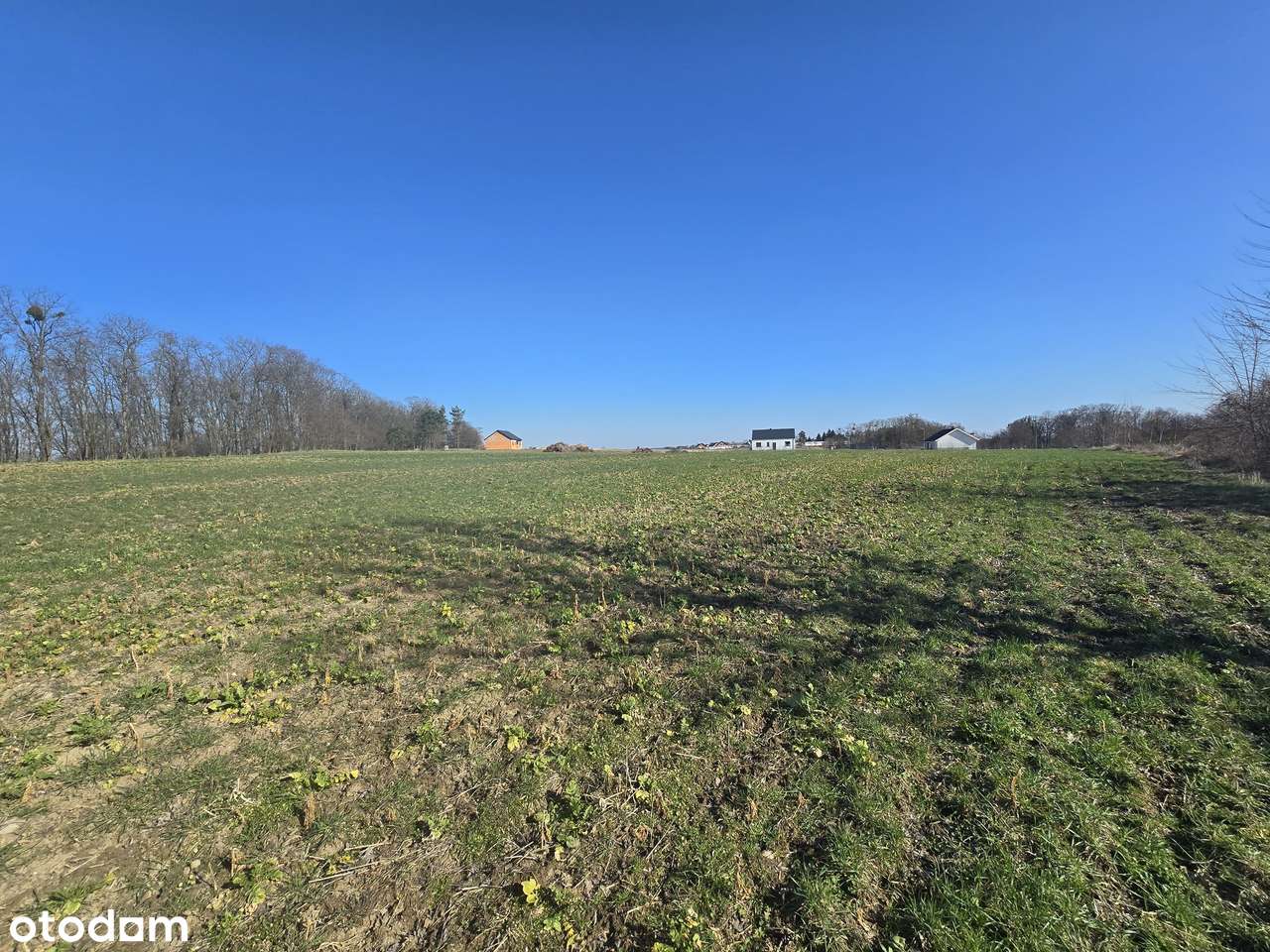 3 z 7 działek budowlanych w Lubiatówku-2