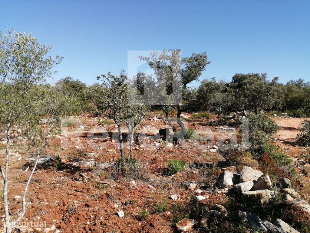 TERRENO RUSTICO EM LOULÉ - Grande imagem: 5/11