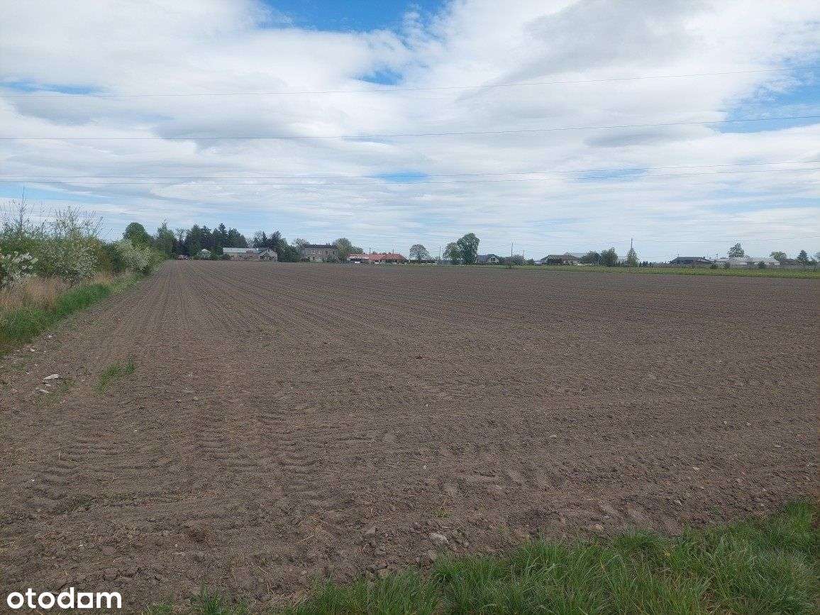 Działka, 32 000 m², Sójki-3