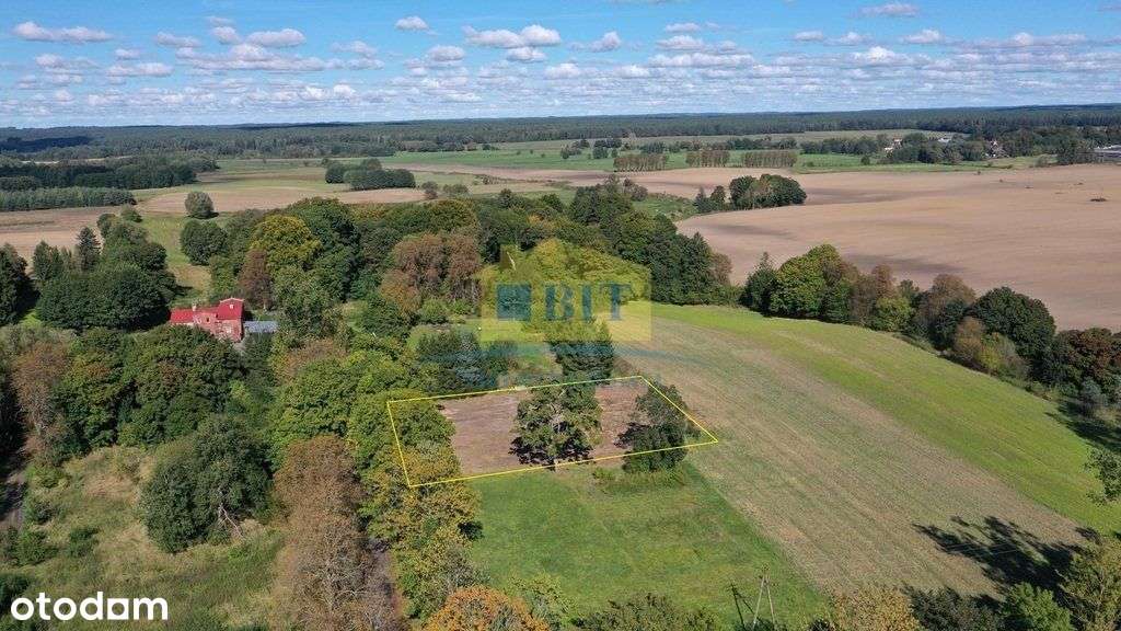 Działka na obrzeżach miejscowości Rzęśnica - Pełny obrazek: 4/12