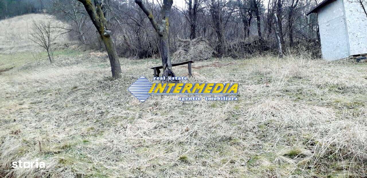 Teren Intravilan in Paclisa 1450 mp cu Puz aprobat - Imagine principală: 4/4