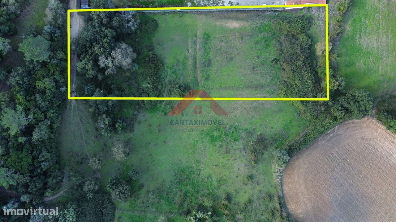 Terreno Rústico  Venda em Manique do Intendente, Vila Nova de São Pedr - Grande imagem: 4/8