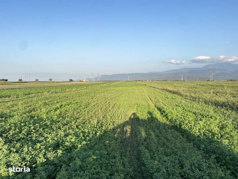 Teren extravilan de vanzare -5750 mp- deschidere la DJ 112B- Intrarea - Imagine principală: 2/3